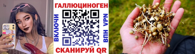 МЕГА как войти  Кувандык  Галлюциногенные грибы прущие грибы 